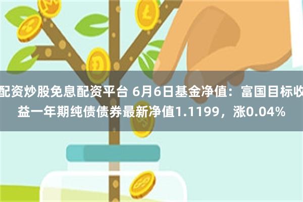 配资炒股免息配资平台 6月6日基金净值：富国目标收益一年期纯债债券最新净值1.1199，涨0.04%