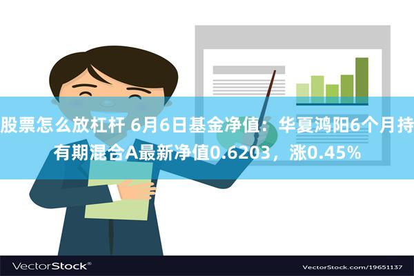 股票怎么放杠杆 6月6日基金净值：华夏鸿阳6个月持有期混合A最新净值0.6203，涨0.45%