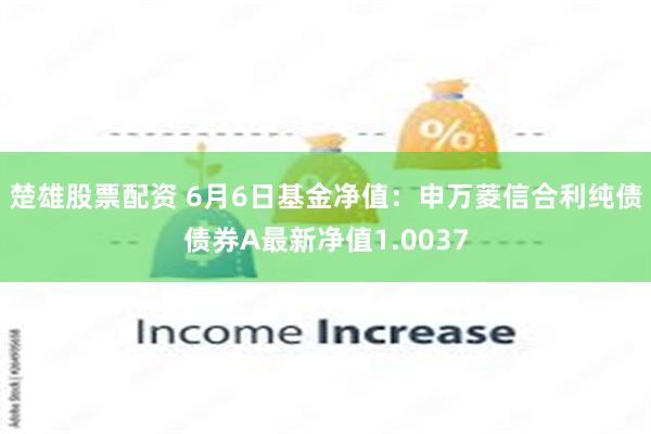 楚雄股票配资 6月6日基金净值：申万菱信合利纯债债券A最新净值1.0037