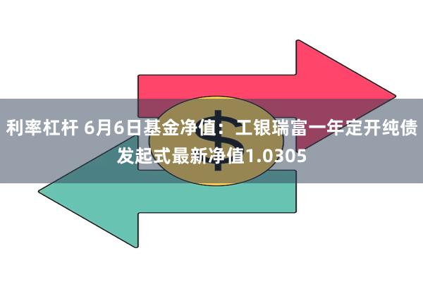 利率杠杆 6月6日基金净值：工银瑞富一年定开纯债发起式最新净值1.0305