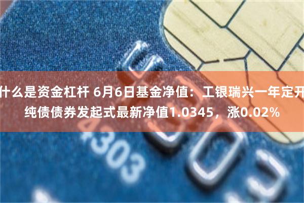 什么是资金杠杆 6月6日基金净值：工银瑞兴一年定开纯债债