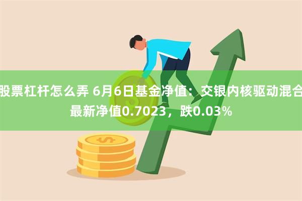 股票杠杆怎么弄 6月6日基金净值：交银内核驱动混合最新净值0.7023，跌0.03%