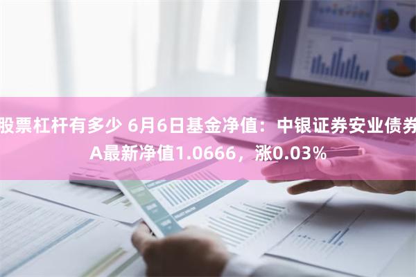 股票杠杆有多少 6月6日基金净值：中银证券安业债券A最新净值1.0666，涨0.03%