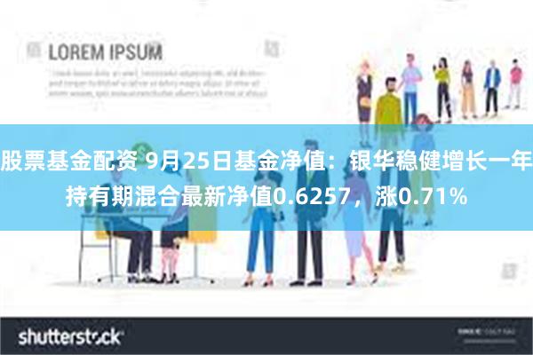 股票基金配资 9月25日基金净值：银华稳健增长一年持有期混合最新净值0.6257，涨0.71%