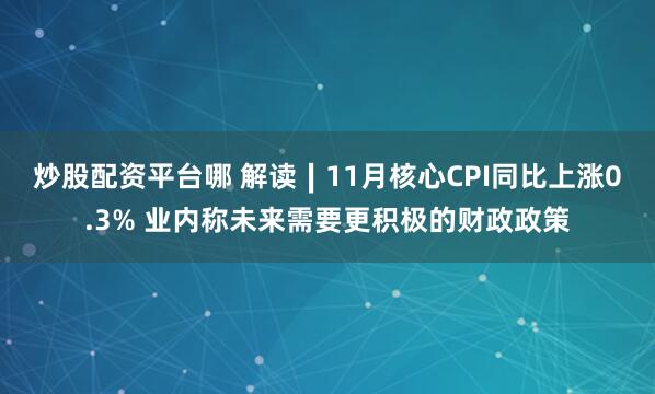 炒股配资平台哪 解读∣11月核心CPI同比上涨0.3% 业内称未来需要更积极的财政政策