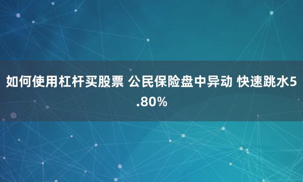 如何使用杠杆买股票 公民保险盘中异动 快速跳水5.80%