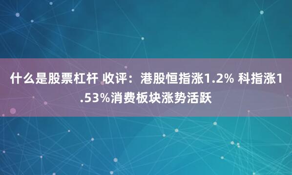 什么是股票杠杆 收评：港股恒指涨1.2% 科指涨1.53%消费板块涨势活跃