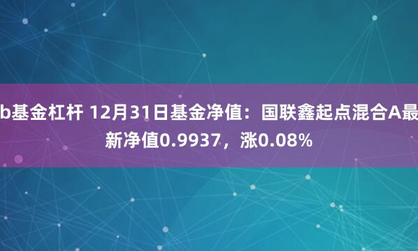 b基金杠杆 12月31日基金净值：国联鑫起点混合A最新净值0.9937，涨0.08%