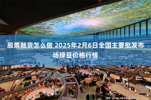 股票融资怎么做 2025年2月6日全国主要批发市场绿豆价格行情