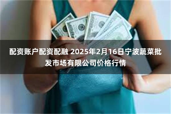 配资账户配资配融 2025年2月16日宁波蔬菜批发市场有限公司价格行情