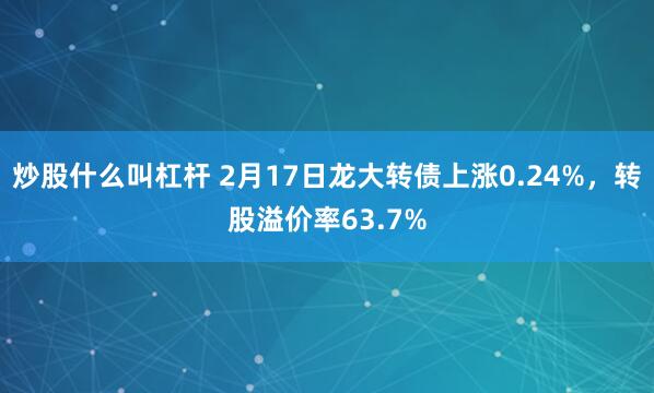 炒股什么叫杠杆 2月17日龙大转债上涨0.24%，转股溢价率63.7%