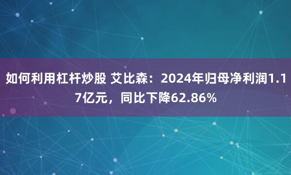 如何利用杠杆炒股 艾比森：2024年归母净利润1.17亿元，同比下降62.86%